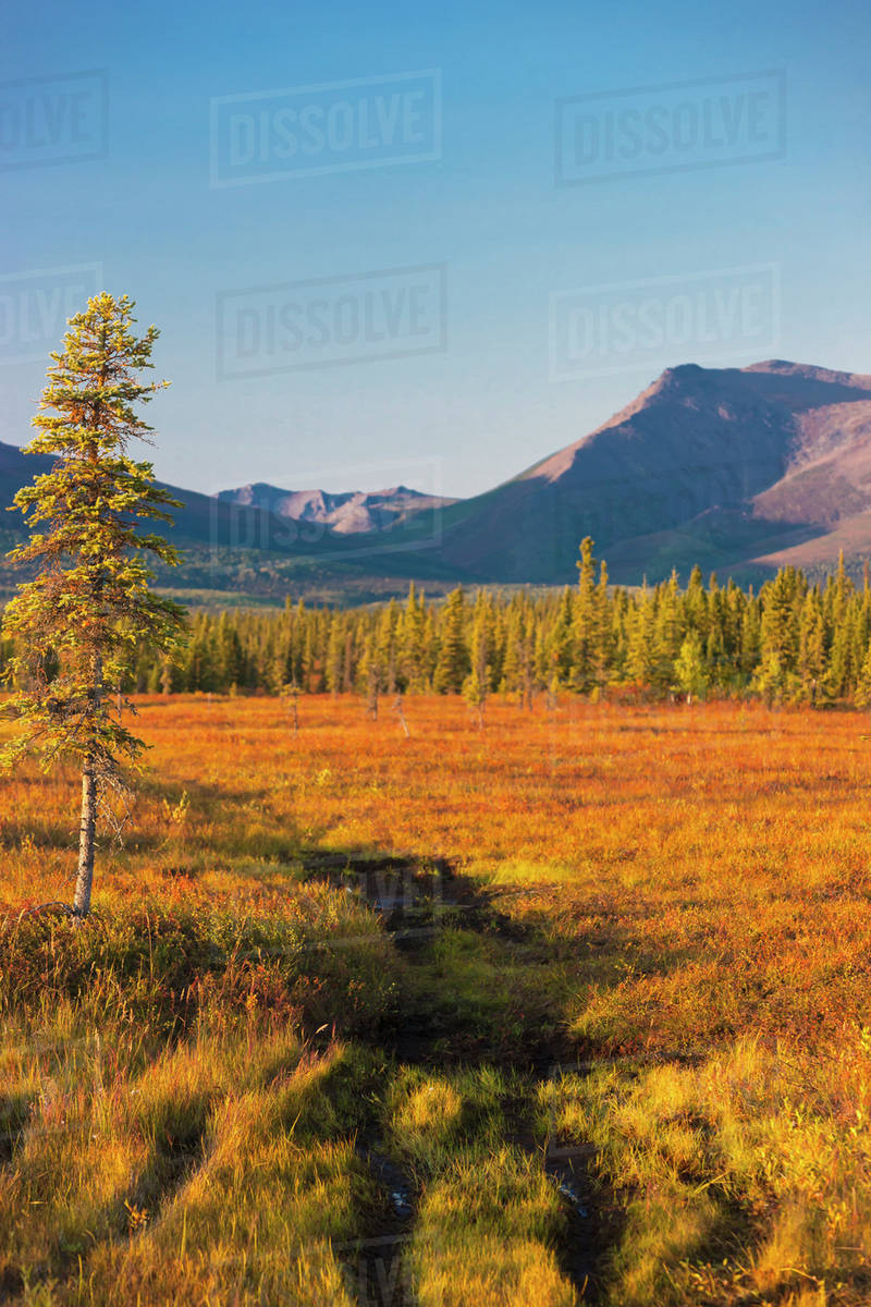 Scenic view of forest and Cosmos Mountain outside the village of