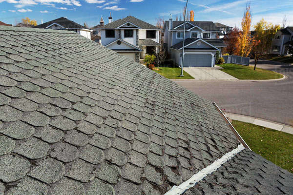 Detail Of Well Worn Rounded Roof Shingles With Neighbourhood Houses Autumn Colours Blue Sky And Clouds In The Background Calgary Alberta Canada Stock Photo Dissolve Worn Rounded Roof Shingles, Rounded Roof Shingles