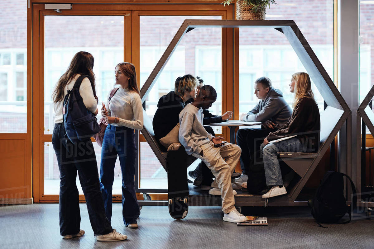 Male and female students talking with each other in school - Royalty ...