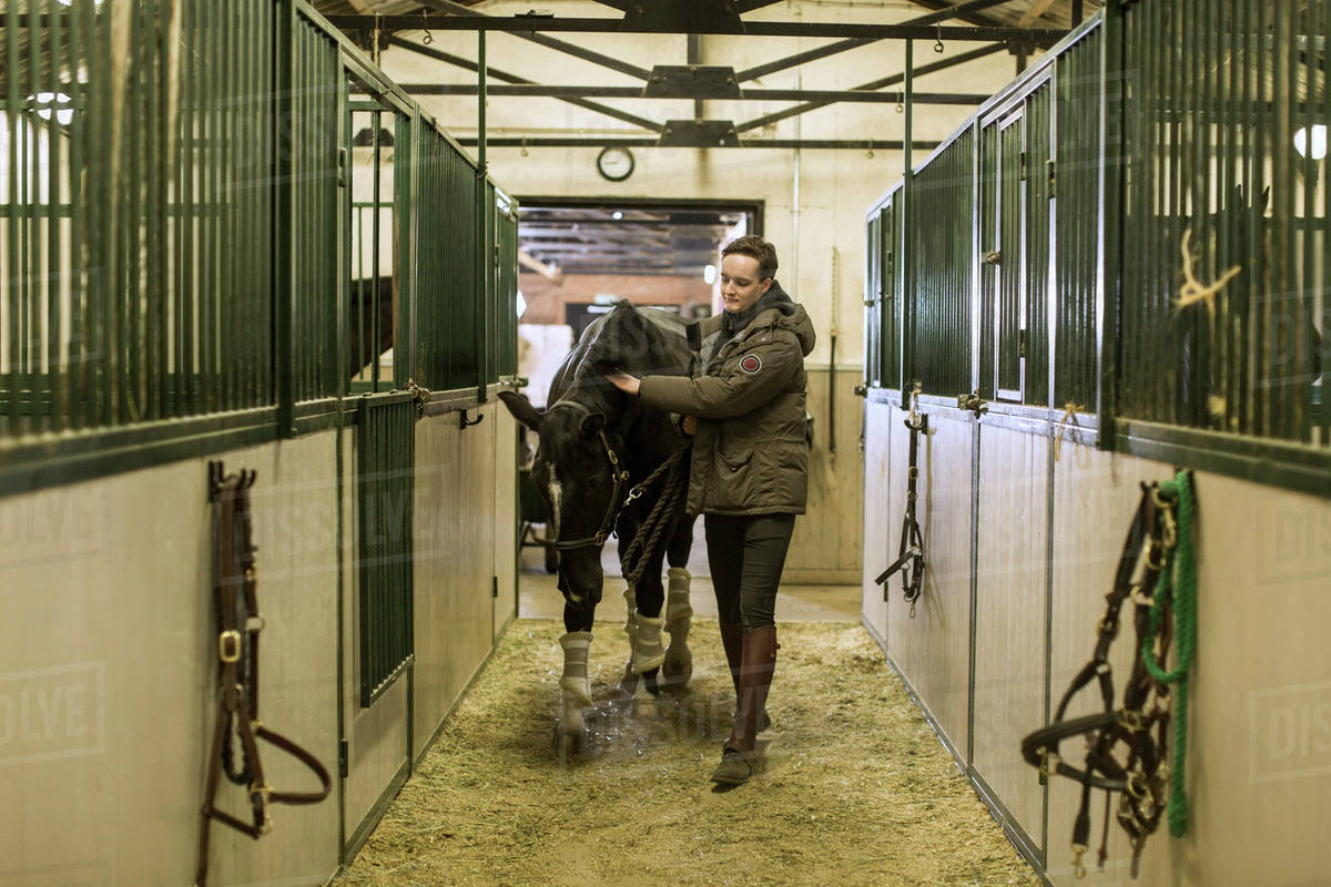 Full length of young man walking with horse in stable - Stock Photo ...
