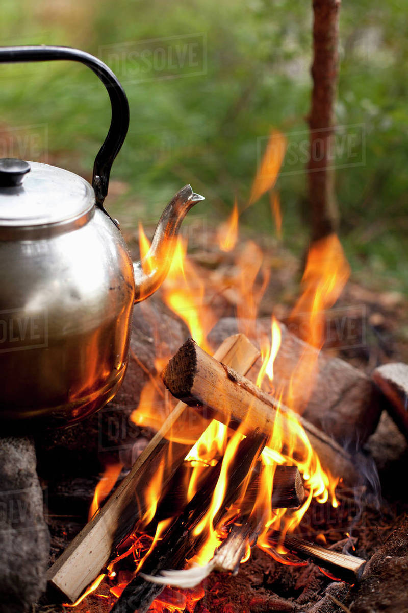 Tea kettle on bonfire in forest Stock Photo Dissolve