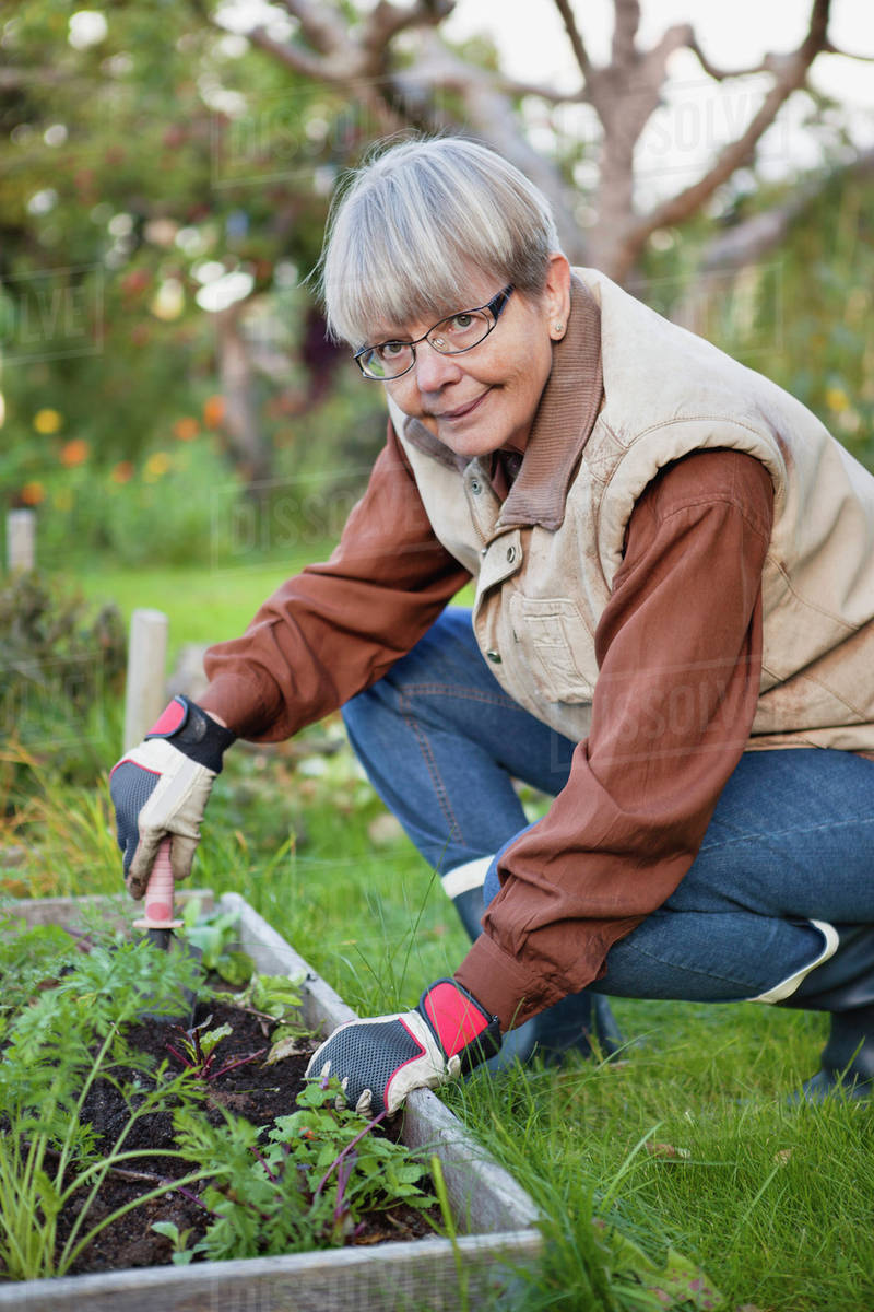 Woman working i garden Stock Photo Dissolve