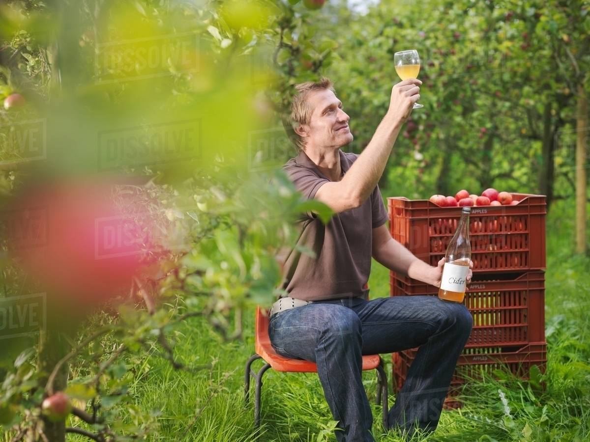 Farmer drinking cider in orchard Stock Photo Dissolve