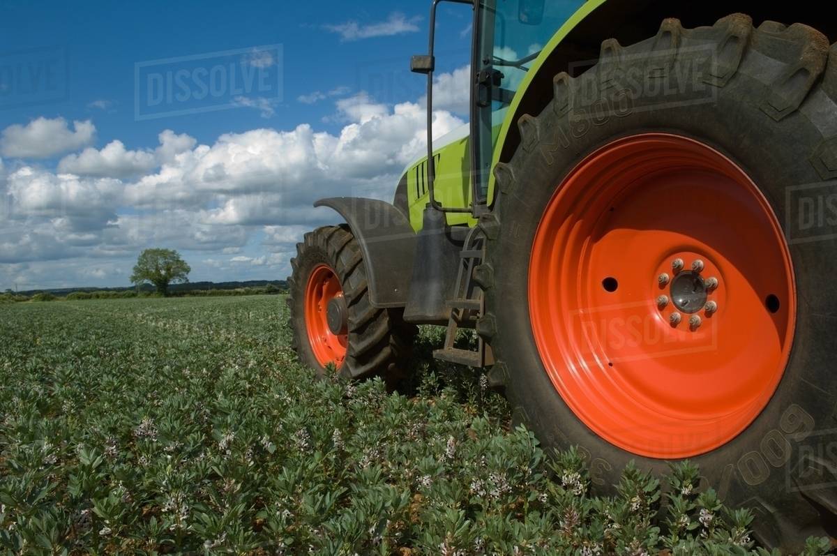 Tractor driving through crops Stock Photo Dissolve