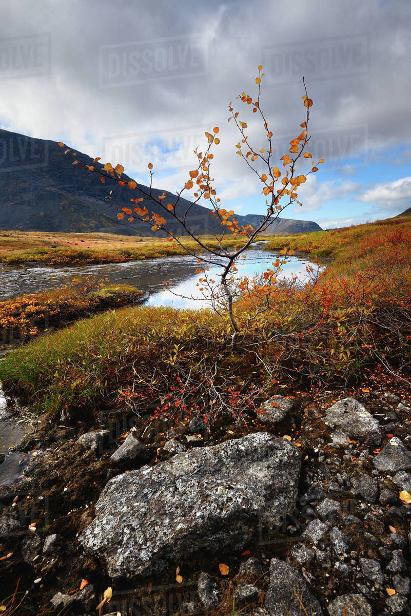 On which peninsula are the Khibiny mountains On which peninsula are the Khibiny mountains