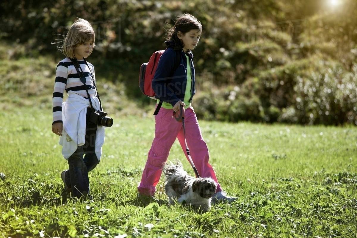 Children walking dog in field Stock Photo Dissolve