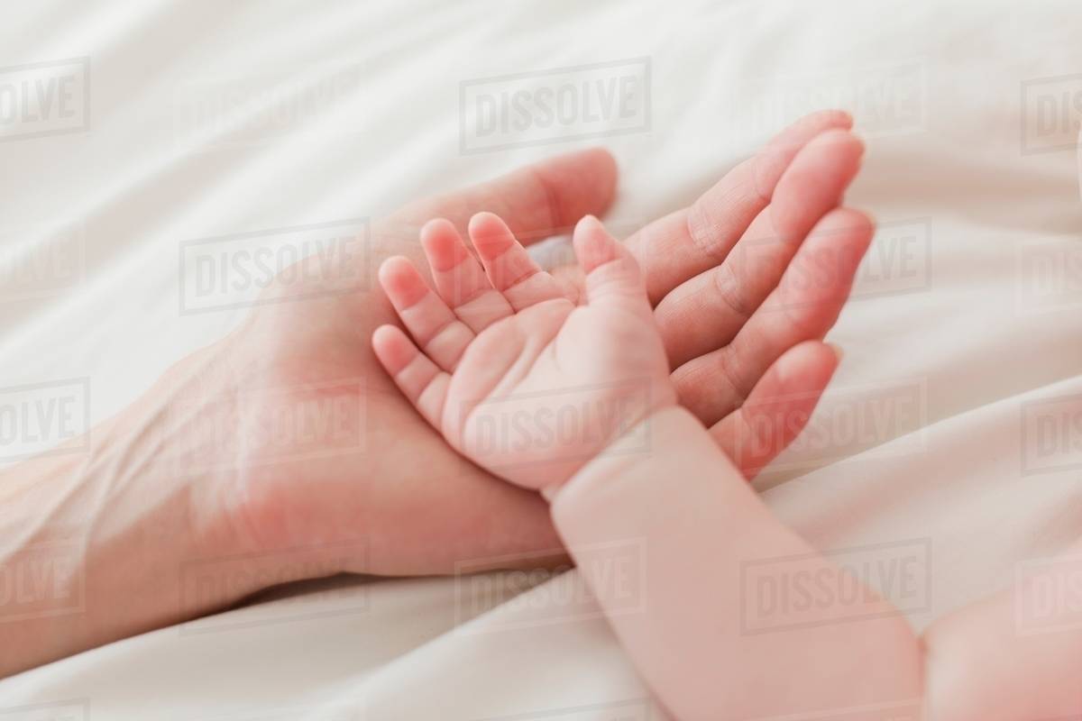 Close up of mother and babys hands Stock Photo Dissolve