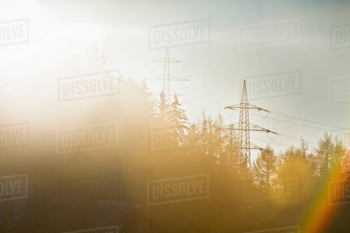 Telephone poles over trees Stock Photo Dissolve