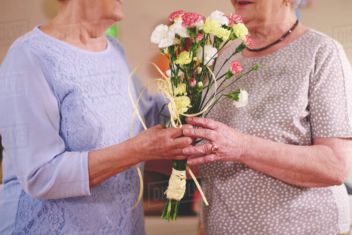 Senior woman giving flowers to friend at birthday party Stock Photo Dissolve