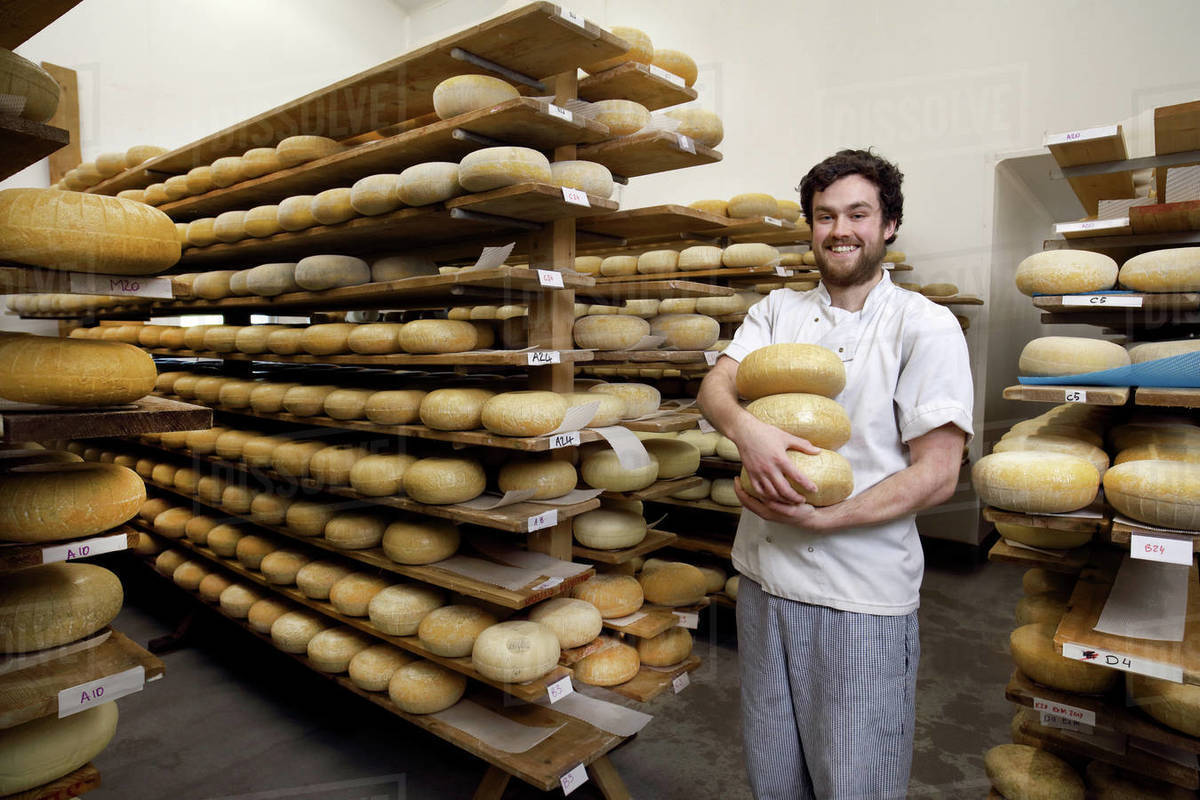 Portrait of cheese maker carrying hard cheeses for inspection, in