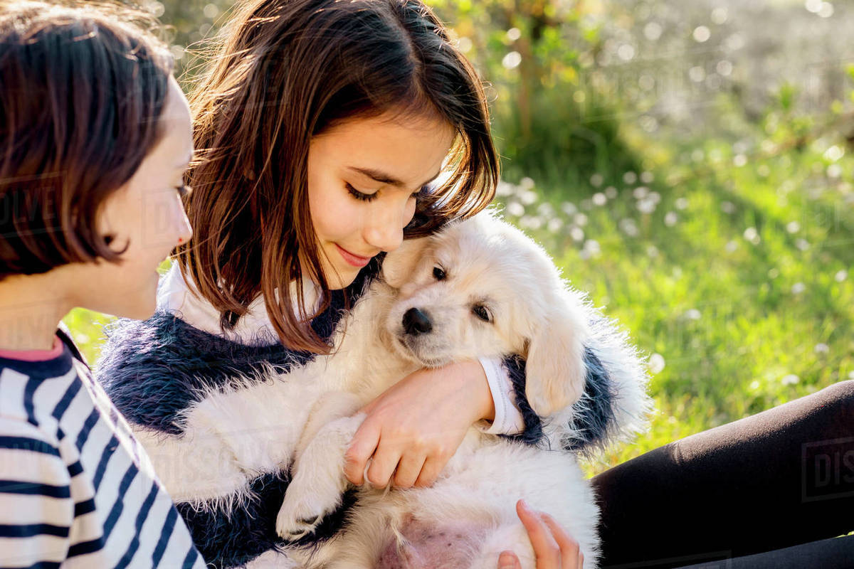 Two girls sitting in orchard hugging a cute golden retriever puppy