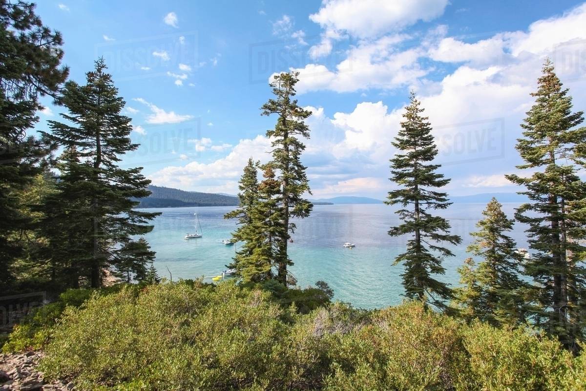 View through fir trees of Lake Tahoe, California, USA Stock Photo