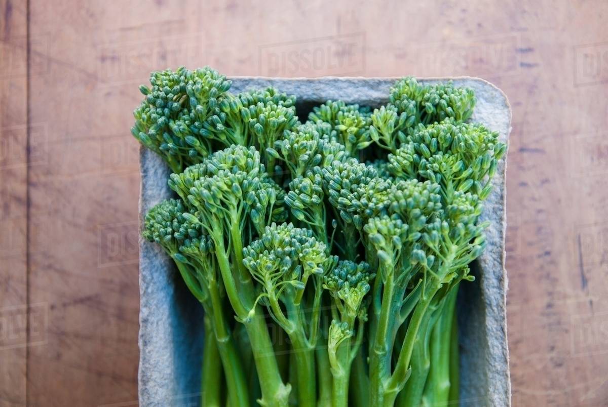 Tub of fresh broccoli Stock Photo Dissolve