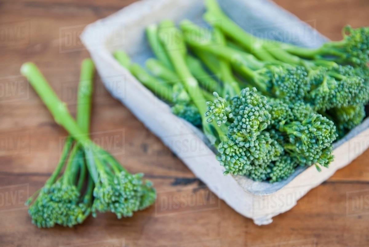 Tub of fresh broccoli Stock Photo Dissolve