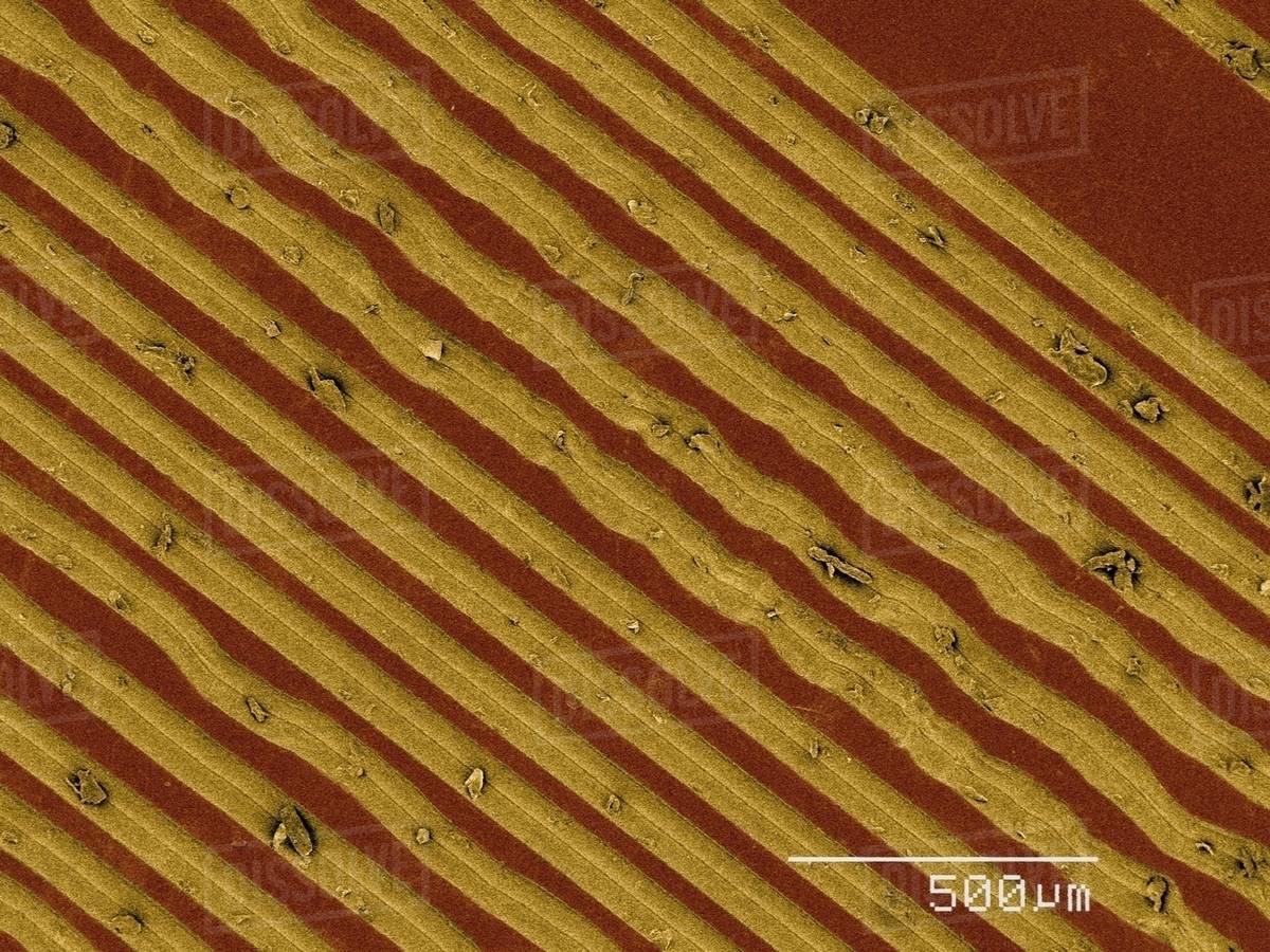 Coloured SEM of grooves on vinyl record Stock Photo Dissolve