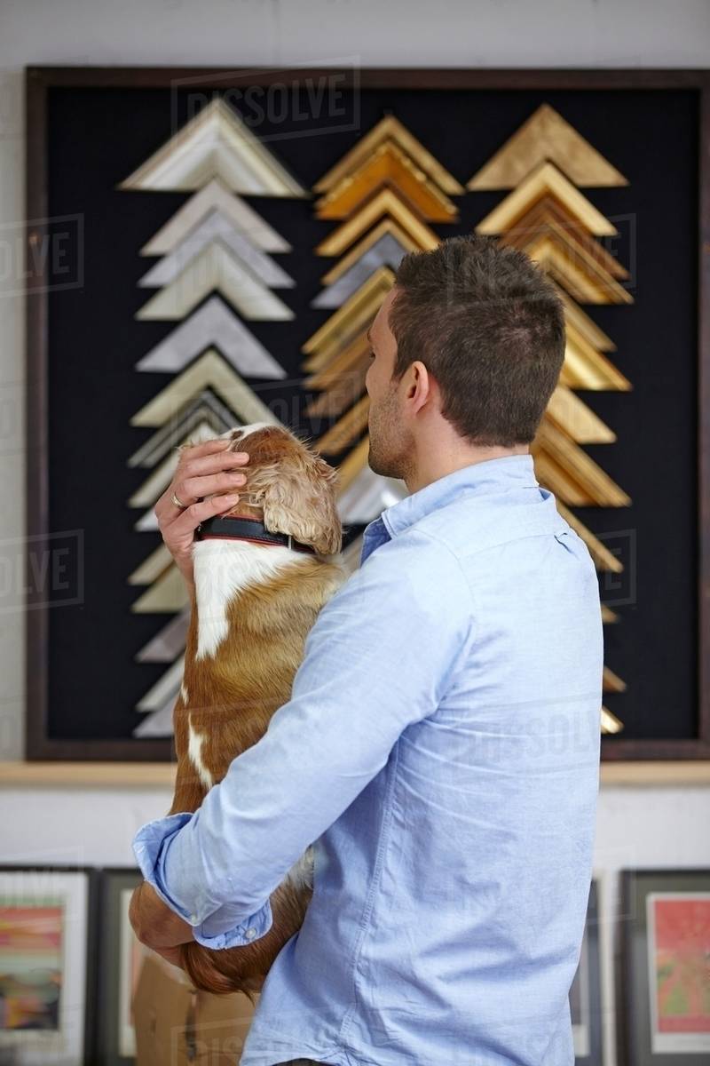 Man carrying dog whilst choosing frame in picture framers Stock Photo Dissolve