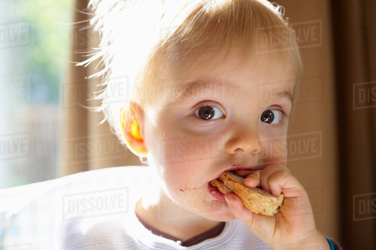 Baby boy eating a slice of bread Stock Photo Dissolve