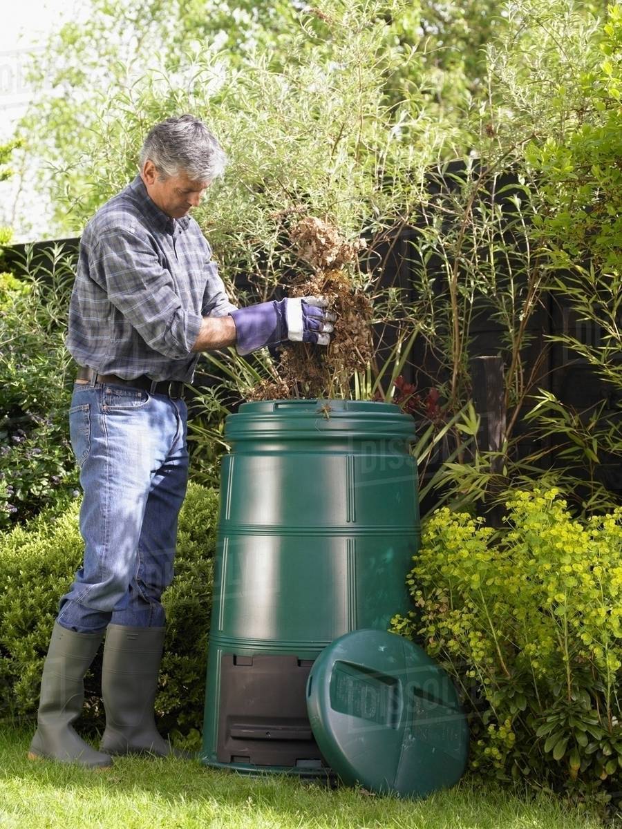 Man composting in backyard Stock Photo Dissolve