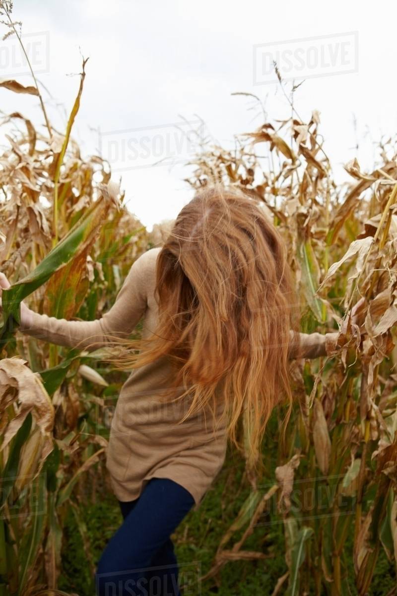 Teenage girl walking in cornfield Stock Photo Dissolve