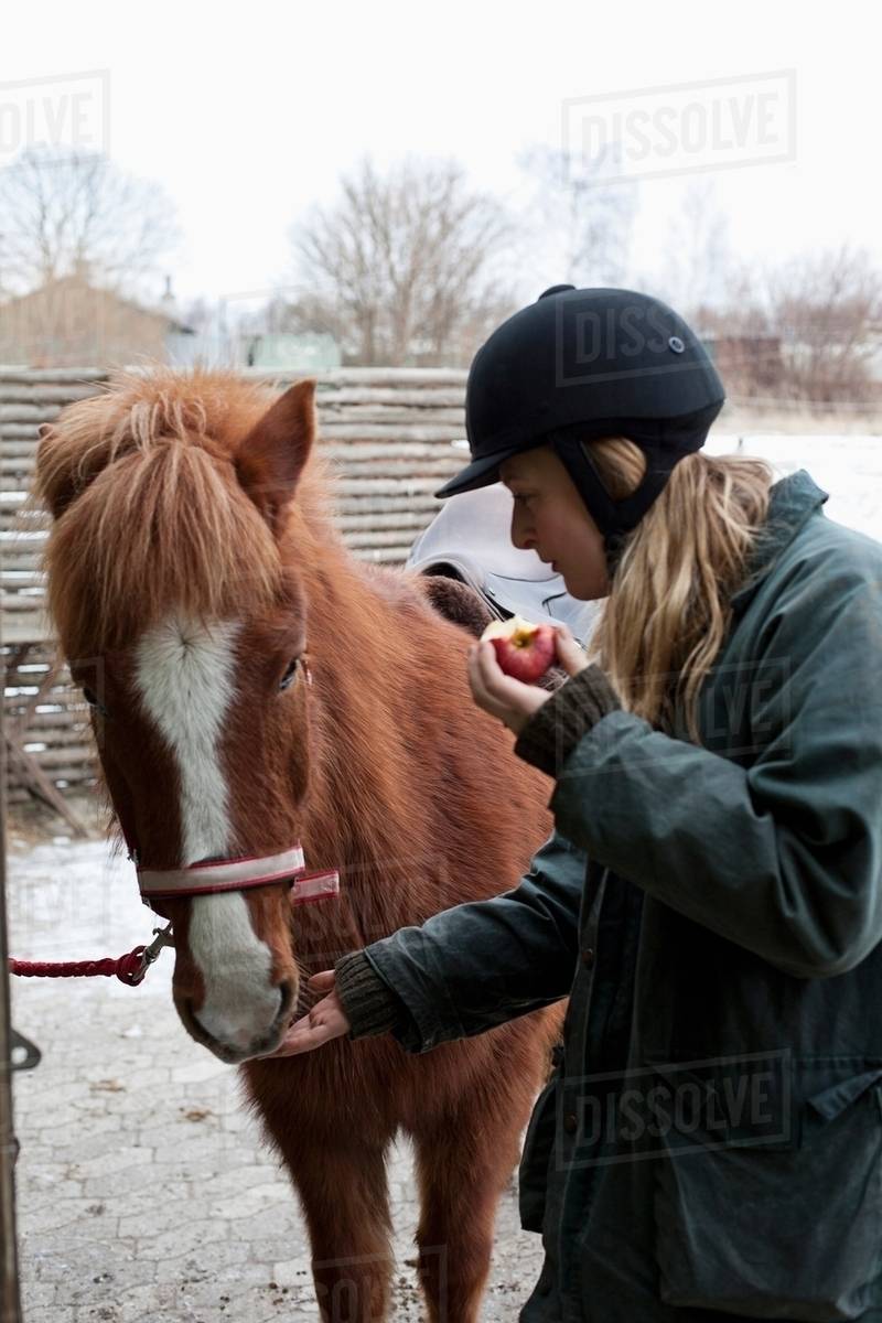 Woman feeding apple to horse outdoors Stock Photo Dissolve