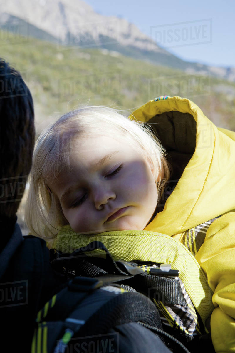 Baby girl asleep in carrier on parent's back Stock Photo Dissolve