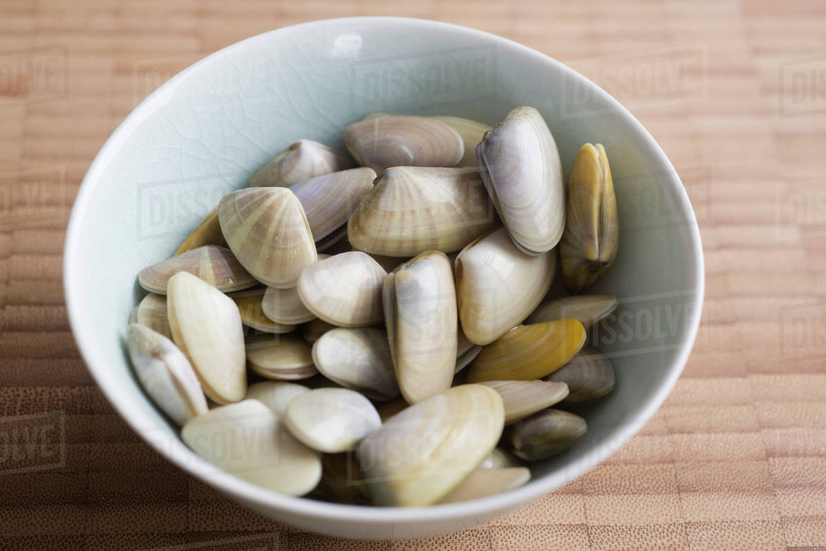 Bowl of fresh clams Stock Photo Dissolve