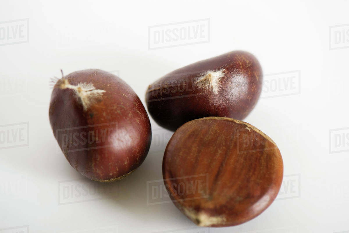 Chestnuts - Royalty-free Stock Photo | Dissolve