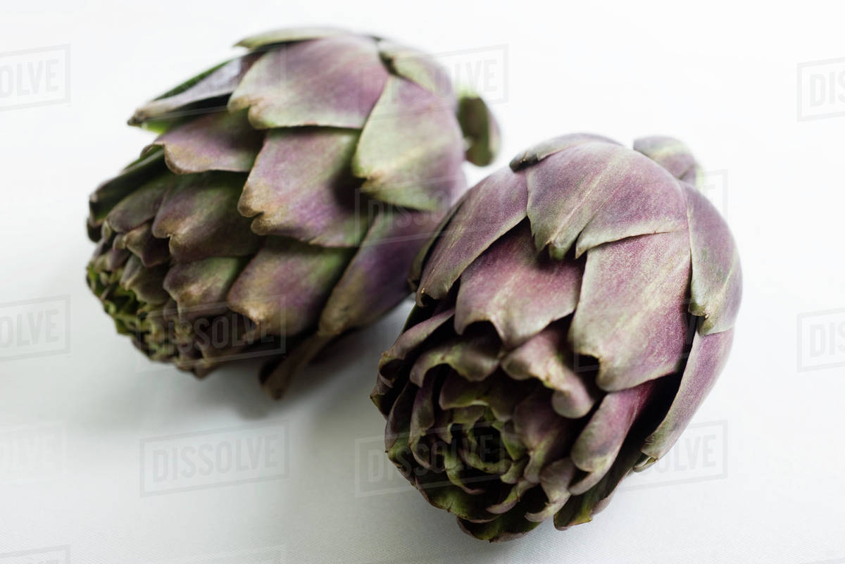Purple artichokes Stock Photo Dissolve