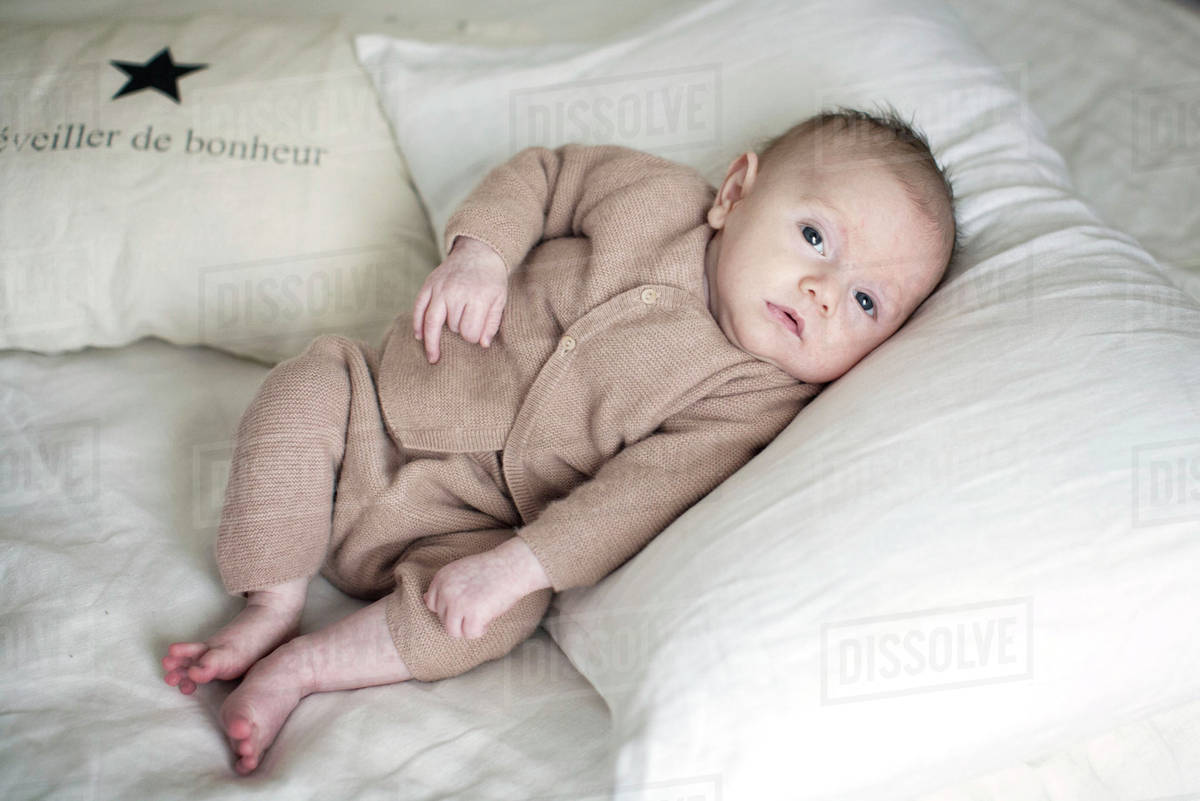 Newborn baby lying on pillow, portrait Stock Photo Dissolve