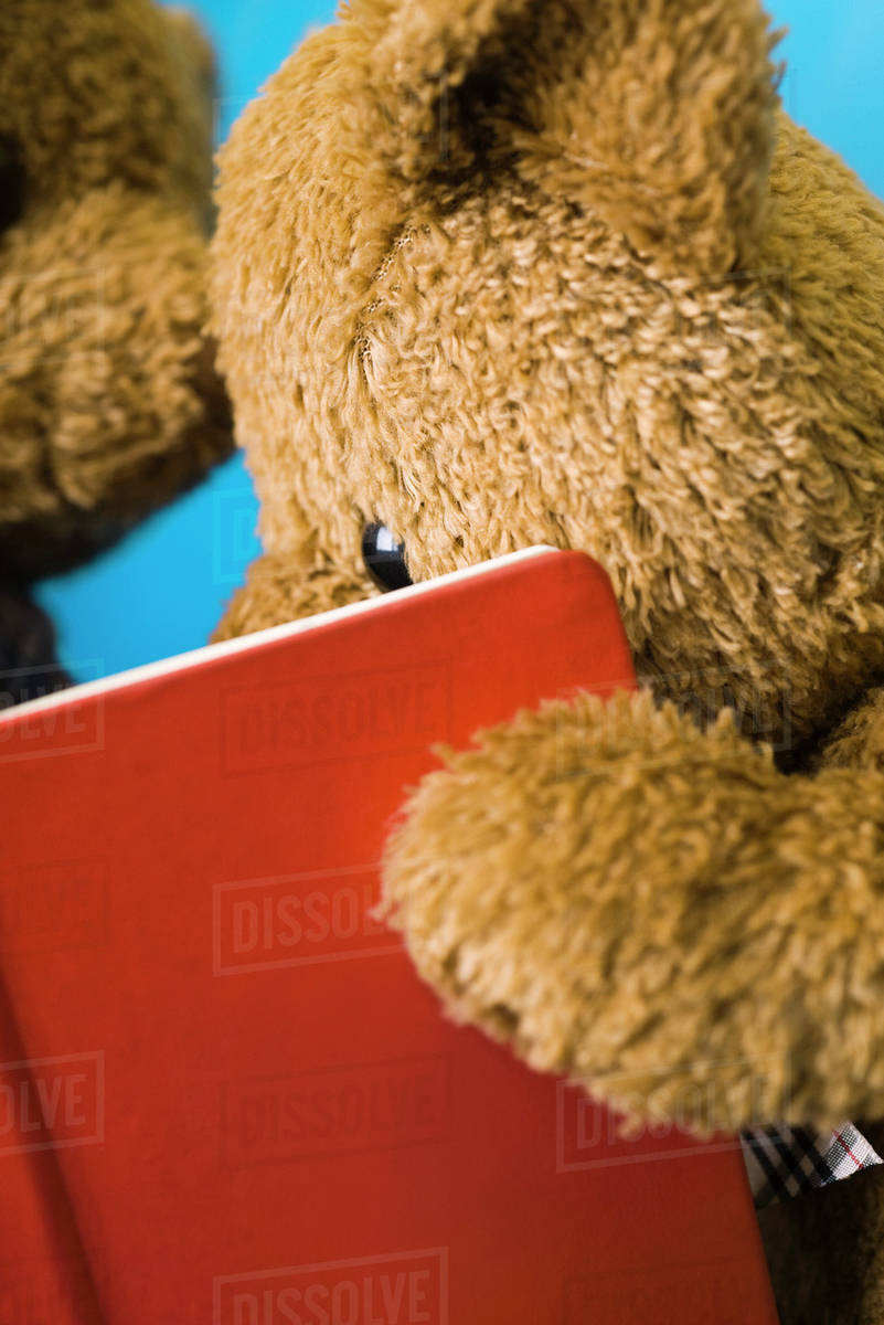 teddy bear reading book close up stock photo dissolve