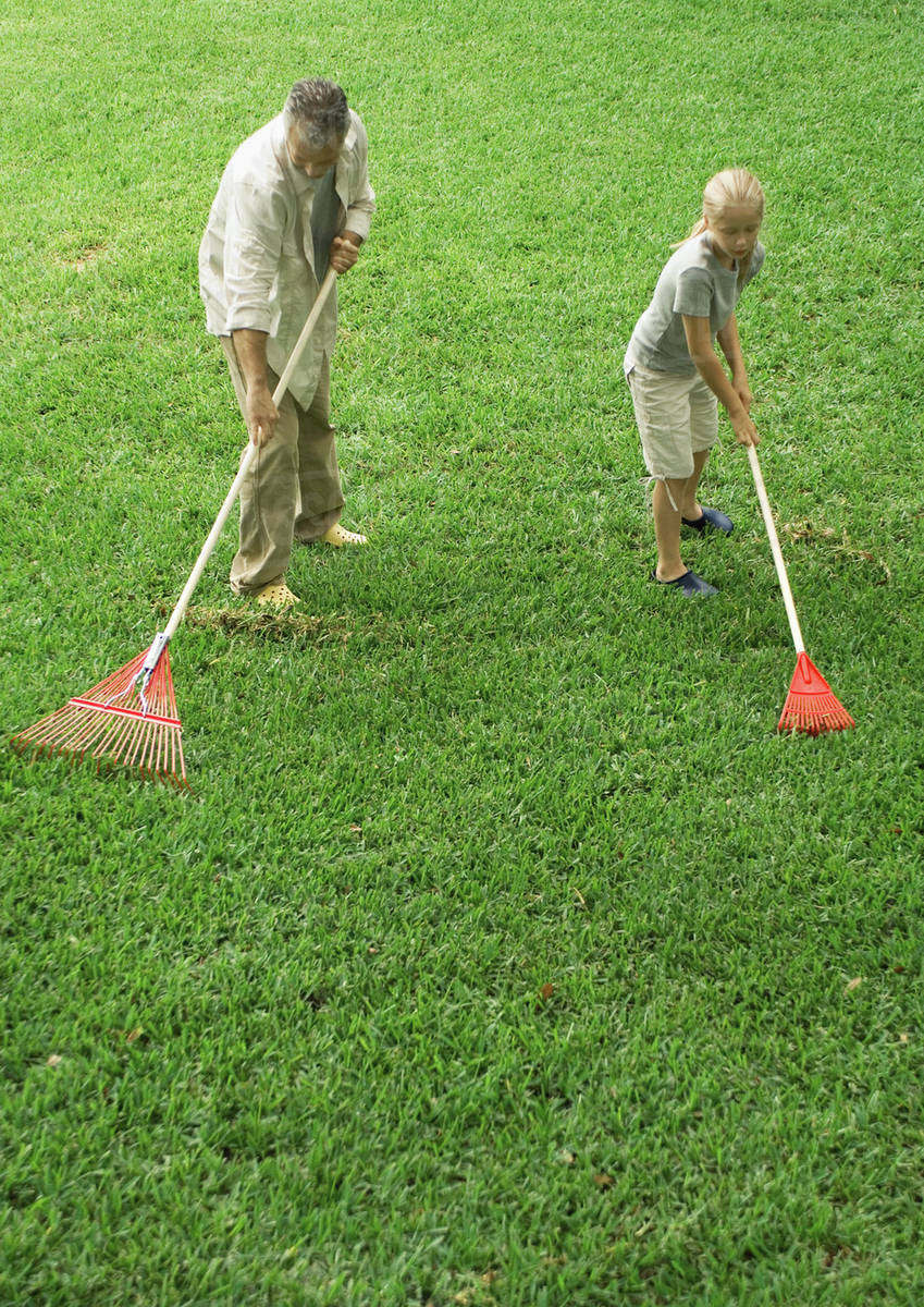 Man and daughter raking grass Stock Photo Dissolve