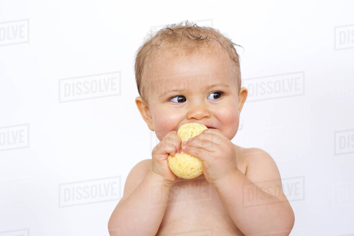 Baby chewing on sponge Stock Photo Dissolve