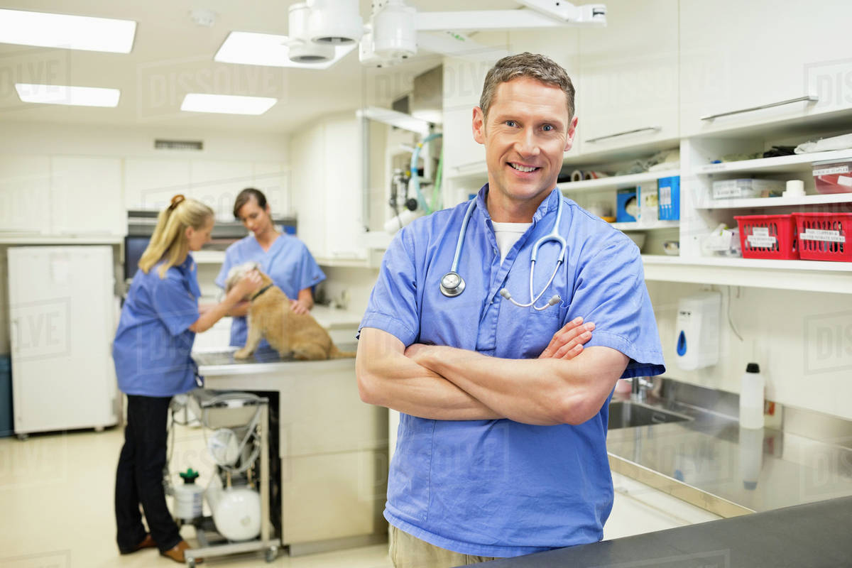 Smiling veterinarian standing in vet’s surgery Stock Photo Dissolve