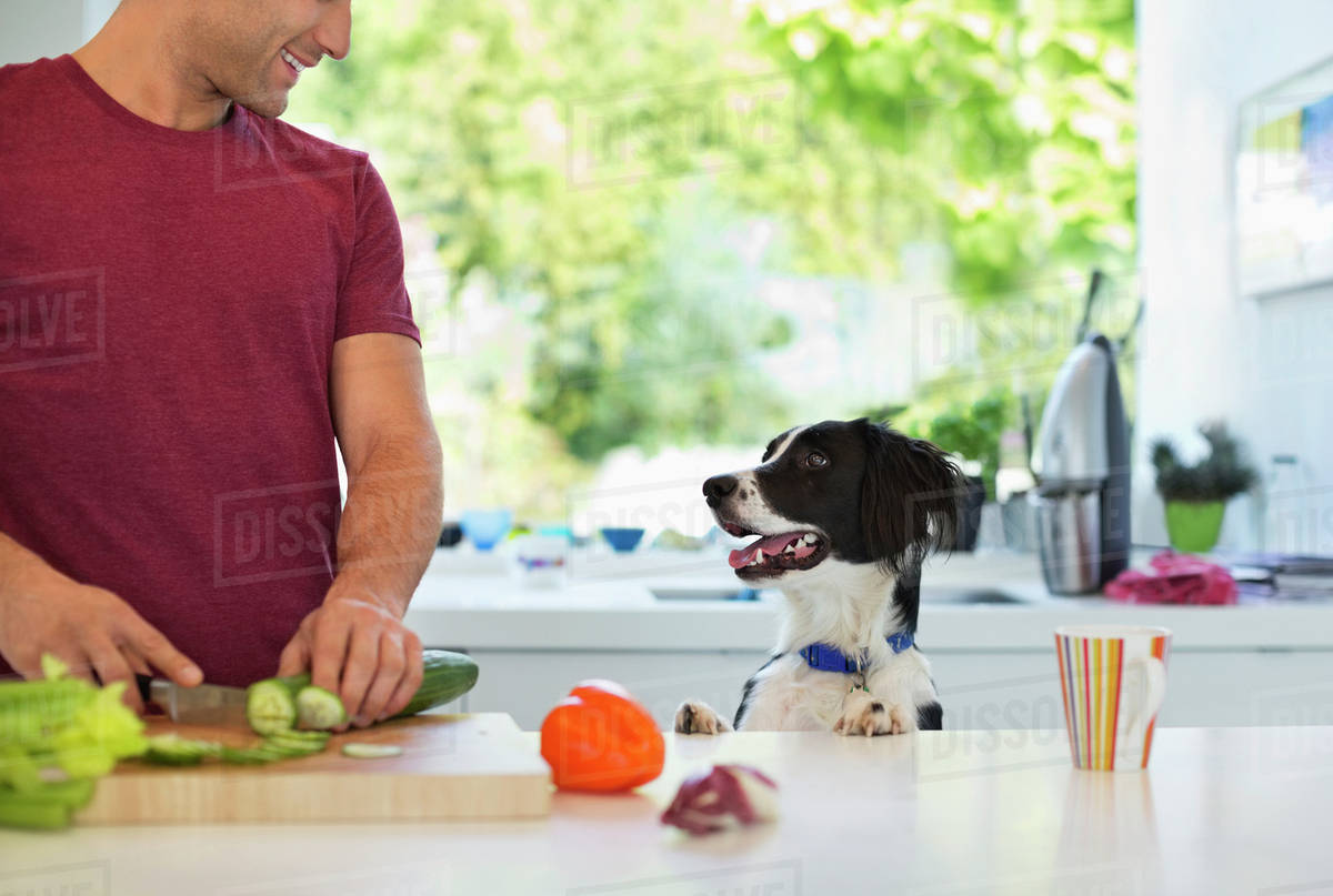 Man cooking with dog in kitchen - Stock Photo - Dissolve