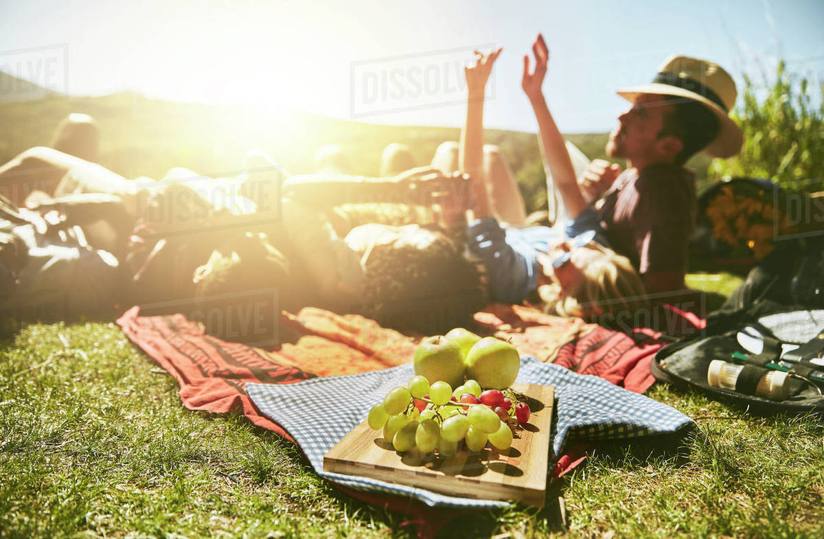 patapsco valley state park-avalon area-orange grove parking Enjoying a Picnic Amidst Nature: Ideal Spots Near Orange Grove