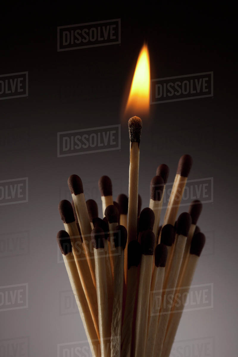 One lit match in bundle of matches Stock Photo Dissolve
