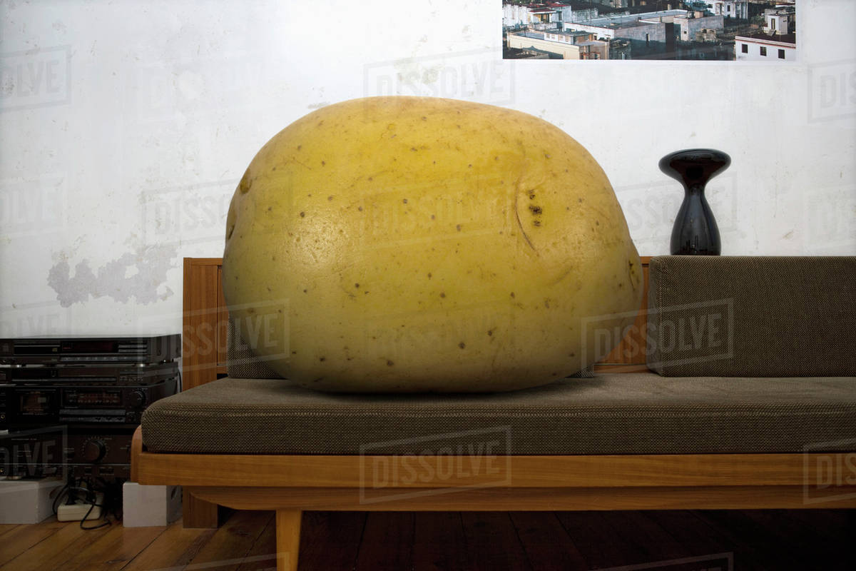 Couch Potato Stock Photo Dissolve