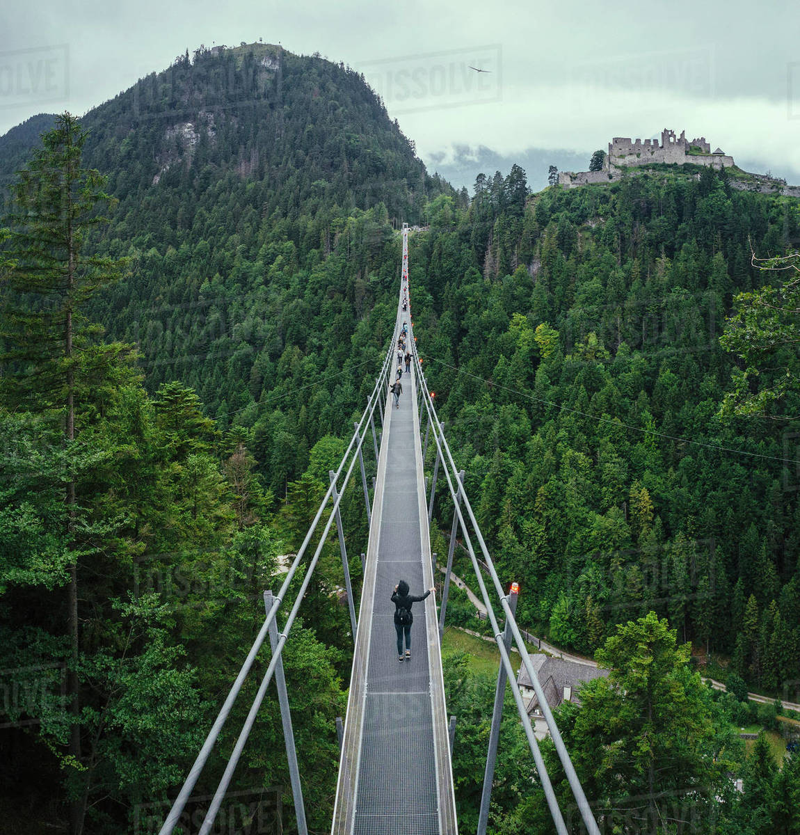People walking across suspension bridge over green treetops, Tyrol