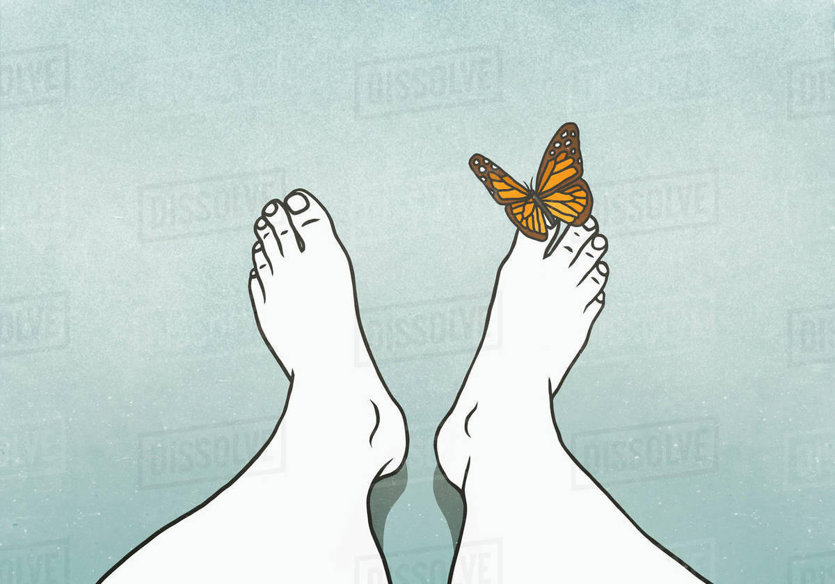 Butterfly landing on mans toe Stock Photo Dissolve