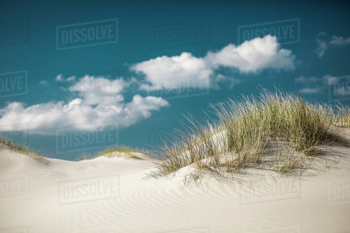 Idyllic sand dunes under sunny blue sky with clouds, Nebel, Schleswig Holstein, Germany Royalty-free stock photo