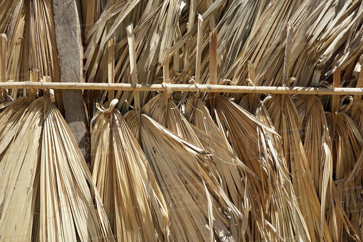 Close up palm leaf roofing Stock Photo Dissolve